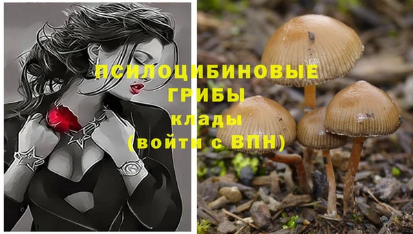 амфетамин Няндома