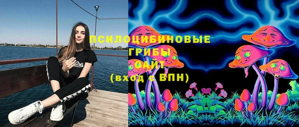 амфетамин Няндома