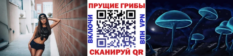 нарко площадка клад  Суоярви  Псилоцибиновые грибы Cubensis 